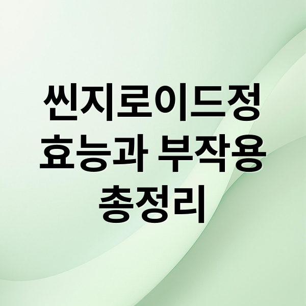 씬지로이드정
효능과 부작용
총정리 (씬지로이드정 효능 부작용)
