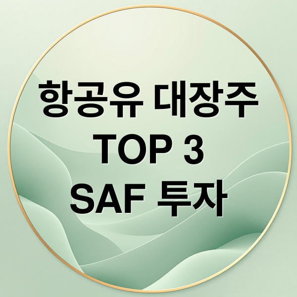 항공유 대장주
TOP 3
SAF 투자 (항공유 관련주 대장주 TOP 3, 늦게 담으면 반드시 후회할 수출 급증 핵심 기업)