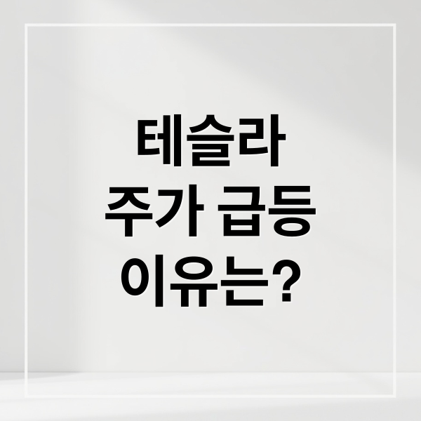테슬라
주가 급등
이유는? (테슬라 주가 7개월 최고치 이유)