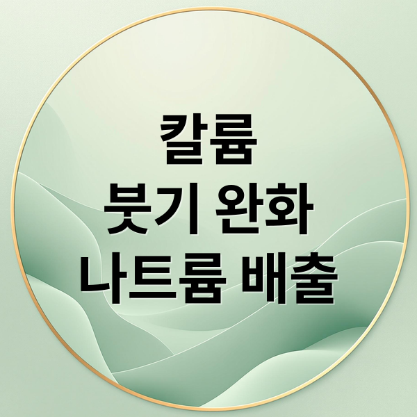 칼륨
붓기 완화
나트륨 배출 (다이어트 식단 칼륨 풍부 식품)