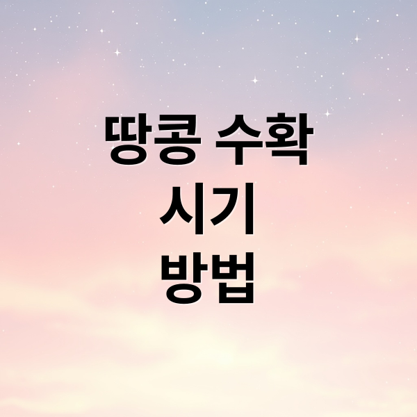 땅콩 수확
시기
방법 (땅콩 수확시기 남부 중부)