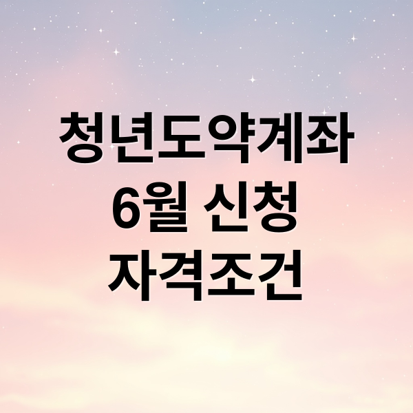 청년도약계좌
6월 신청
자격조건 (청년도약계좌 신청 조건 기간)