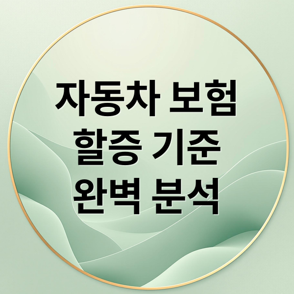 자동차 보험
할증 기준
완벽 분석 (자동차보험 할증 기준 사고)