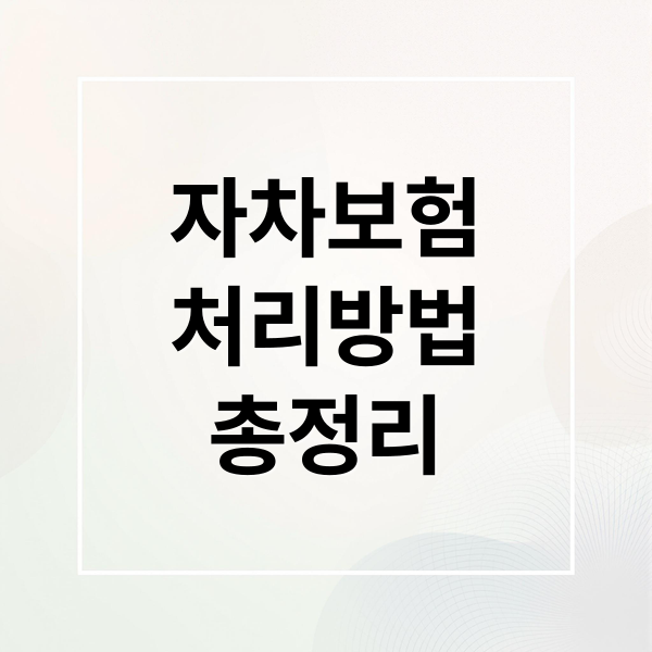 자차보험
처리방법
총정리 (자동차보험 자차처리 할증)