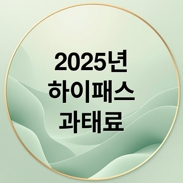 2025년 하이패스 미납 과태료 완벽 가이드