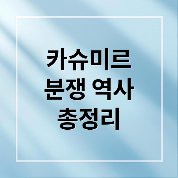 카슈미르
분쟁 역사
총정리 (인도 파키스탄 충돌)