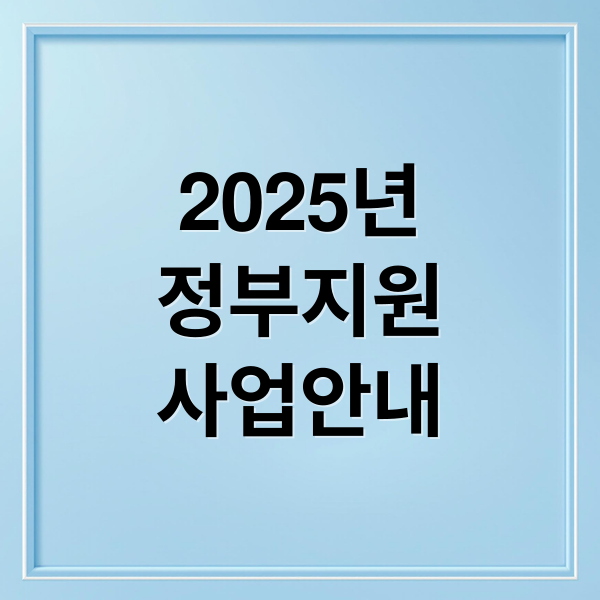 2025년
정부지원
사업안내 (2025 정부지원사업)