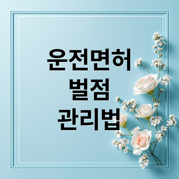 운전면허
벌점
관리법 (운전면허 벌점)