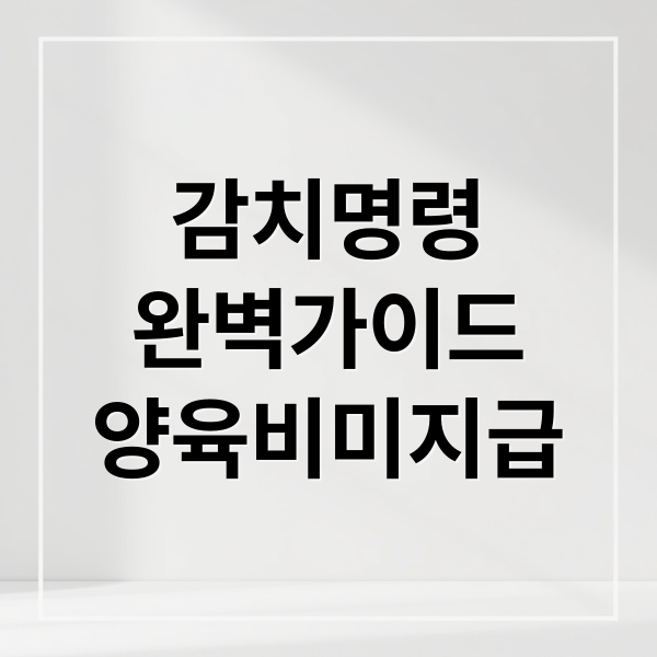 감치명령
완벽가이드
양육비미지급 (감치 뜻 신청방법)