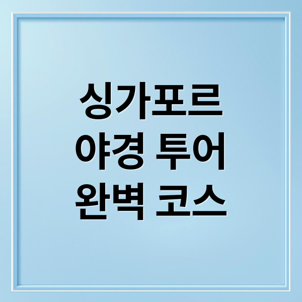 싱가포르
야경 투어
완벽 코스 (싱가포르 야경 투어 준비)