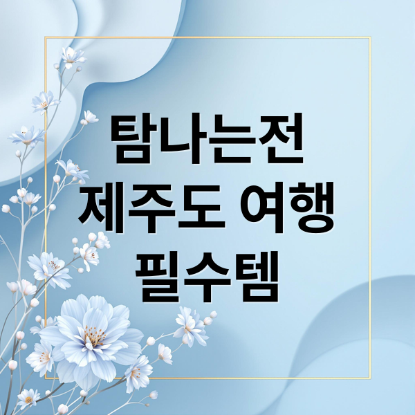 탐나는전
제주도 여행
필수템 (탐나는전 제주도)