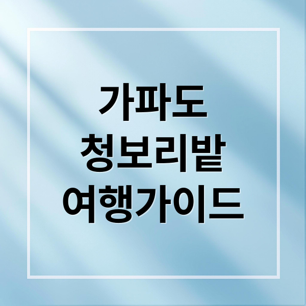 가파도
청보리밭
여행가이드 (제주 가파도 청보리축제 가족 활동)