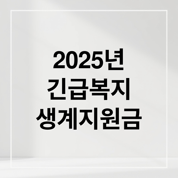 2025년
긴급복지
생계지원금 (긴급복지 생계지원금)