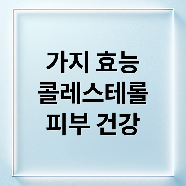가지 효능
콜레스테롤
피부 건강 (가지 효능 6가지 부작용)