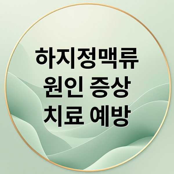 하지정맥류
원인 증상
치료 예방 (하지정맥류 증상 치료방법)