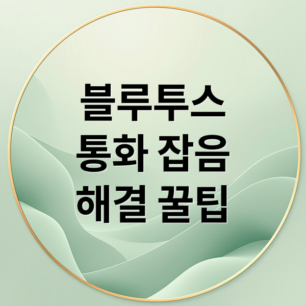 블루투스통화 잡음해결 꿀팁 (블루투스 이어폰 통화 노이즈 해결)