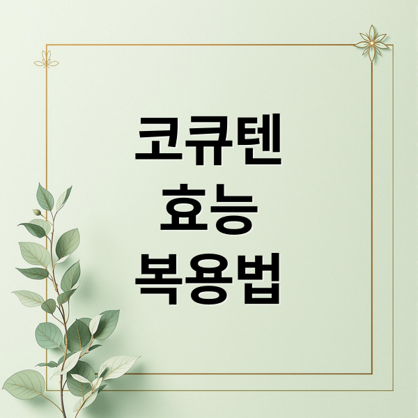 코큐텐
효능
복용법 (코큐텐 효능)