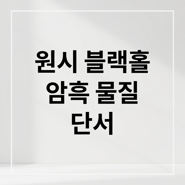 원시 블랙홀
암흑 물질
단서 (우주에 존재하는 원시 블랙홀과 그 의미)