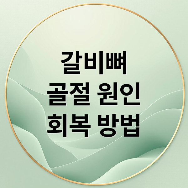 갈비뼈
골절 원인
회복 방법 (갈비뼈 골절 치료기간)