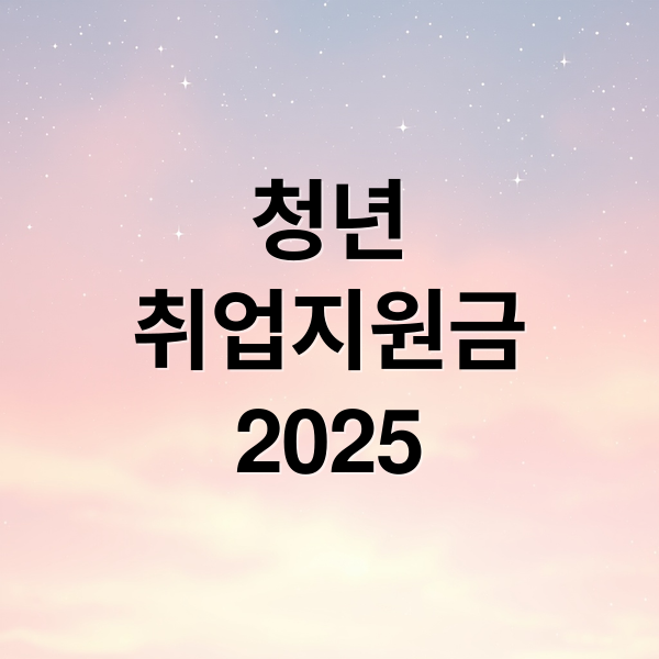 청년
취업지원금
2025 (청년취업지원금 신청)
