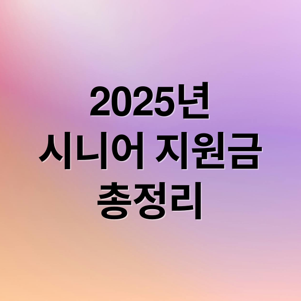 2025년
시니어 지원금
총정리 (2025 시니어 정부지원금)
