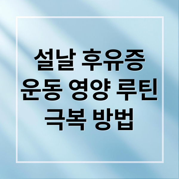 설날 후유증
운동 영양 루틴
극복 방법 (2026 설날 후유증 극복기)
