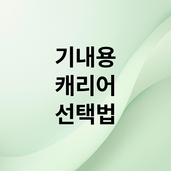 기내용
캐리어
선택법 (기내용캐리어)