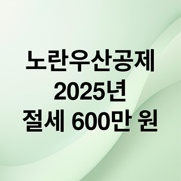 노란우산공제
2025년
절세 600만 원 (노란우산공제 소득공제)