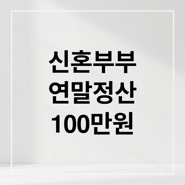 신혼부부
연말정산
100만원 (신혼부부 연말정산 세액공제)