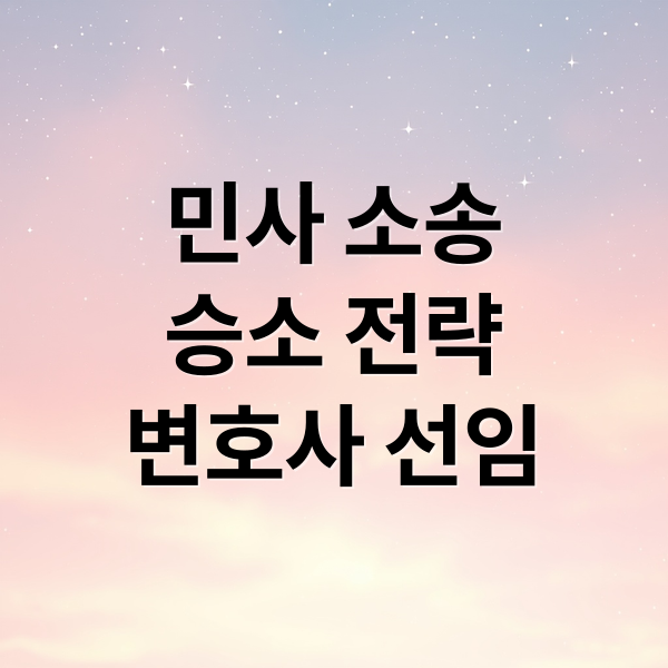 민사 소송
승소 전략
변호사 선임 (민사 변호사)