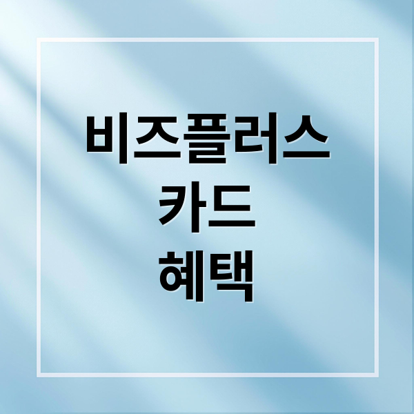 비즈플러스
카드
혜택 (2025 소상공인 비즈플러스카드)