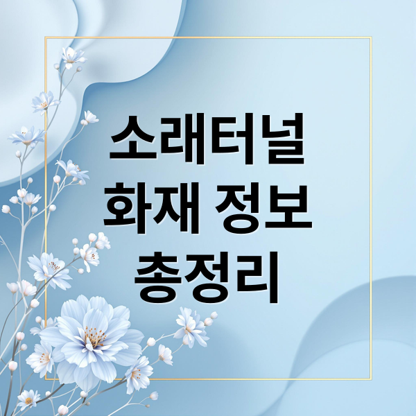 소래터널
화재 정보
총정리 (수도권제1순환고속도로 소래터널 화재)