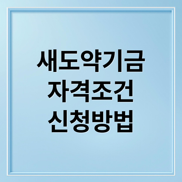 새도약기금
자격조건
신청방법 (새도약기금 대출 자격)