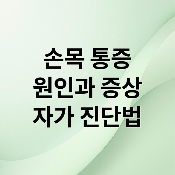 손목 통증
원인과 증상
자가 진단법 (손목 터널 증후군 증상 12가지)