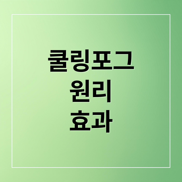 쿨링포그
원리
효과 (쿨링포그)