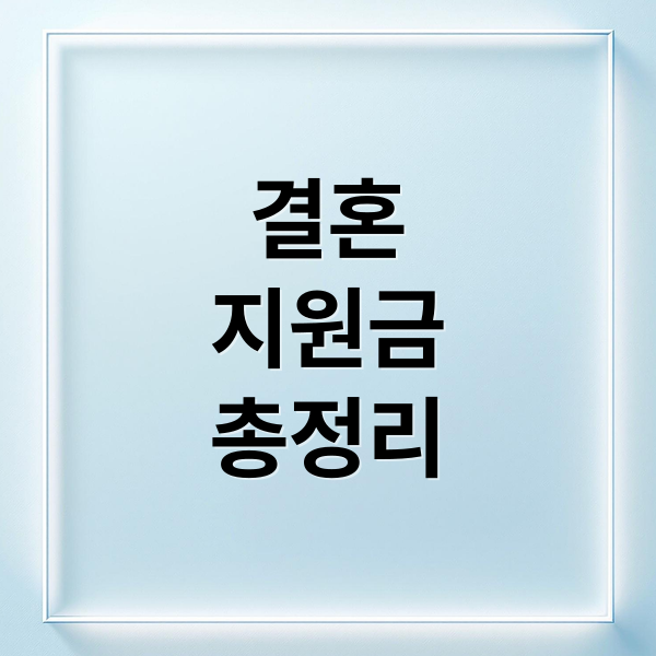 결혼
지원금
총정리 (결혼지원금)
