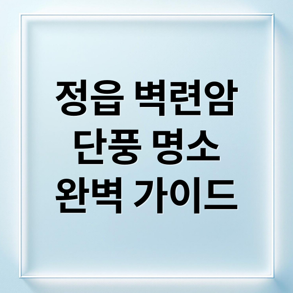 정읍 벽련암
단풍 명소
완벽 가이드 (정읍 벽련암 단풍)