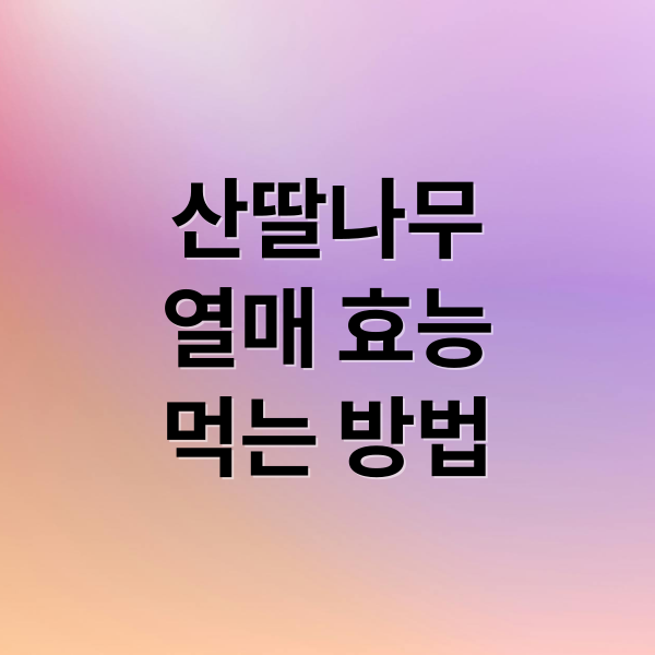 산딸나무
열매 효능
먹는 방법 (산딸나무 열매 효능)