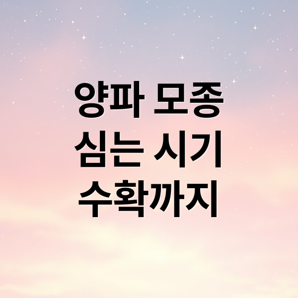 양파 모종
심는 시기
수확까지 (양파 모종 심는 시기 재배방법)