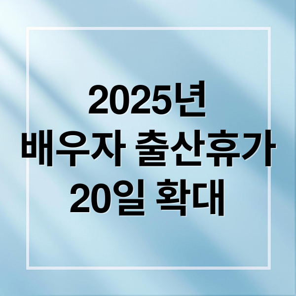 2025년
배우자 출산휴가
20일 확대 (배우자 출산휴가 고용보험 급여)