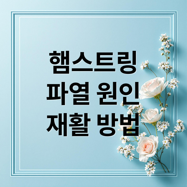 햄스트링
파열 원인
재활 방법 (햄스트링 파열 단계별 회복 운동 루틴)