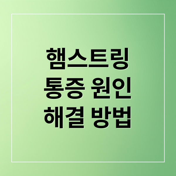 햄스트링
통증 원인
해결 방법 (햄스트링 통증 치료법)