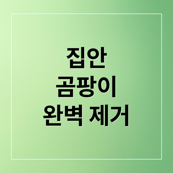 집안
곰팡이
완벽 제거 (곰팡이 재발 방지 제습 환기)