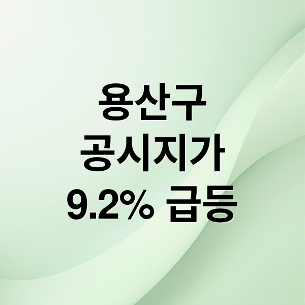 용산구
공시지가
9.2% 급등 (용산구 개별공시지가 9.20%)