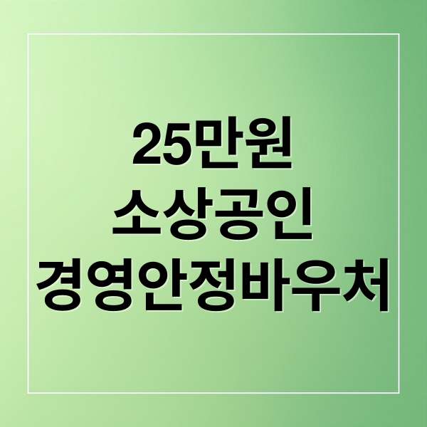 25만원
소상공인
경영안정바우처 (소상공인 경영안정바우처 25만원 신설, 신청 방법은?)