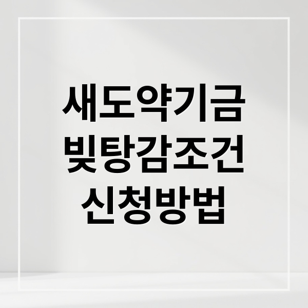 새도약기금
빚탕감조건
신청방법 (새도약기금 대상자 신청 방법)