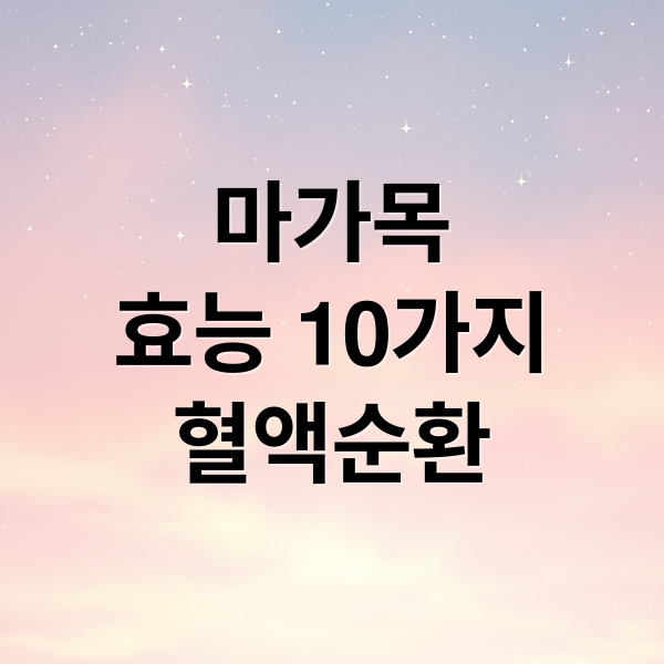 마가목
효능 10가지
혈액순환 (마가목 효능 10가지)