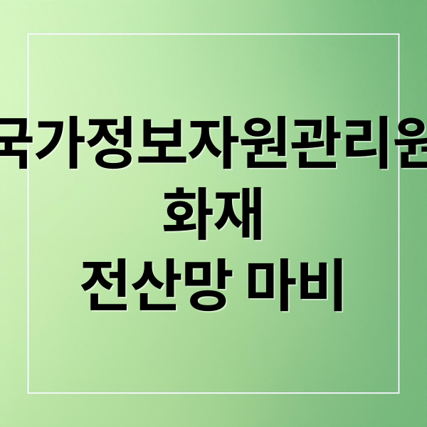 국가정보자원관리원
화재
전산망 마비 (국가정보자원관리원 화재 정부 전산망 장애 대처법)