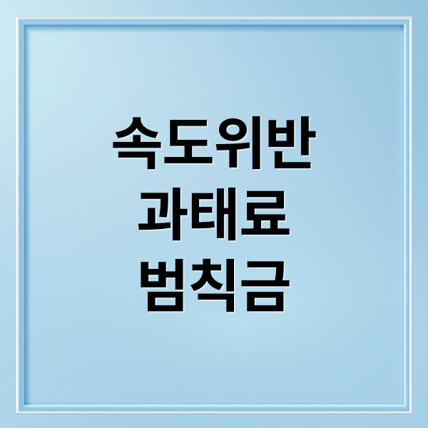 속도위반
과태료
범칙금 (속도위반 과태료)