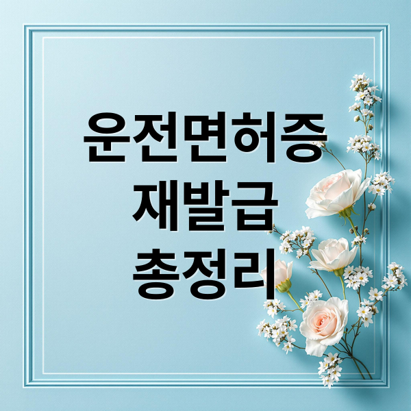 운전면허증
재발급
총정리 (운전면허증 재발급)